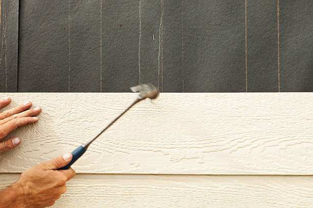 Best Fiber Cement Siding Installation  in Avodo Heights, CA